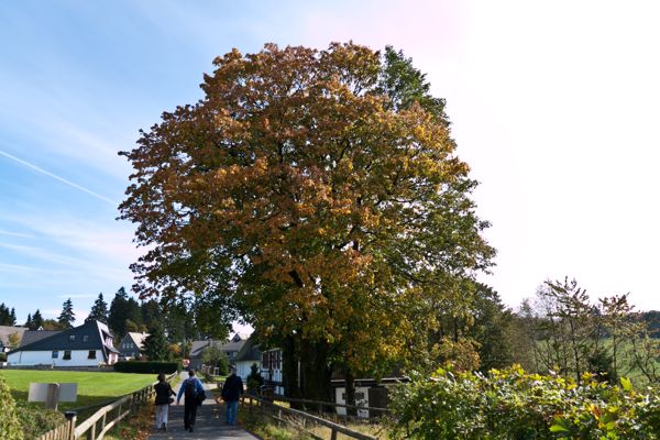 bild 15 - (c) r pattke.jpg